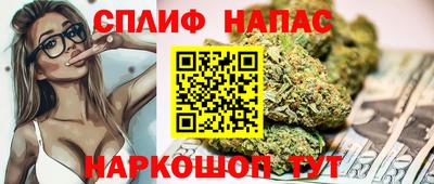 apvp Кингисепп