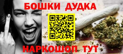 apvp Кингисепп