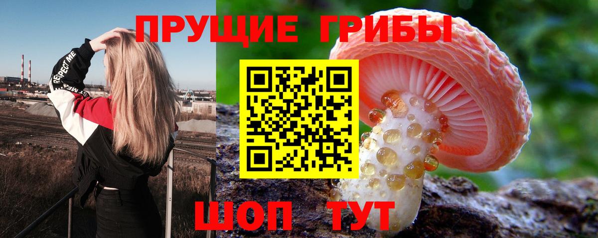 Красногорск  Псилоцибиновые грибы GOLDEN TEACHER  Вход с VPN 