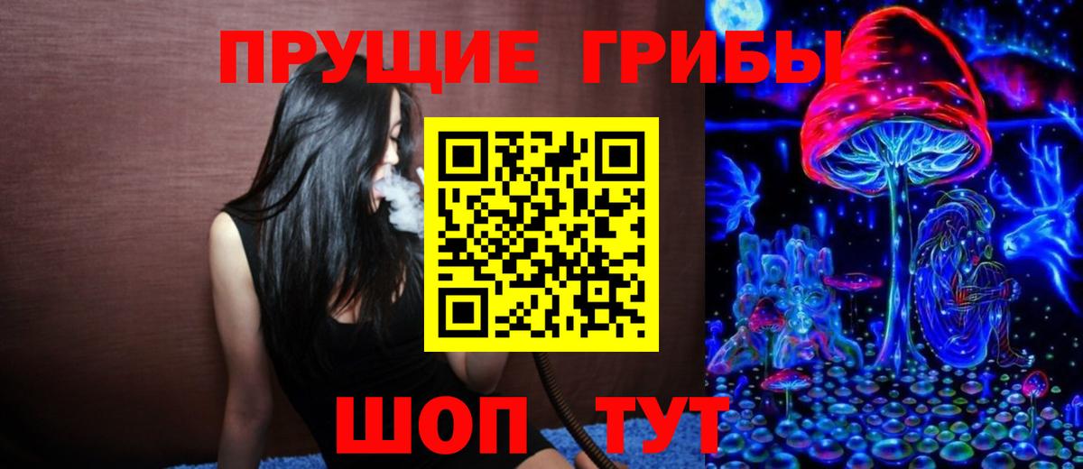 Псилоцибиновые грибы GOLDEN TEACHER Красногорск